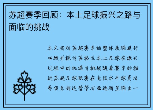 苏超赛季回顾：本土足球振兴之路与面临的挑战